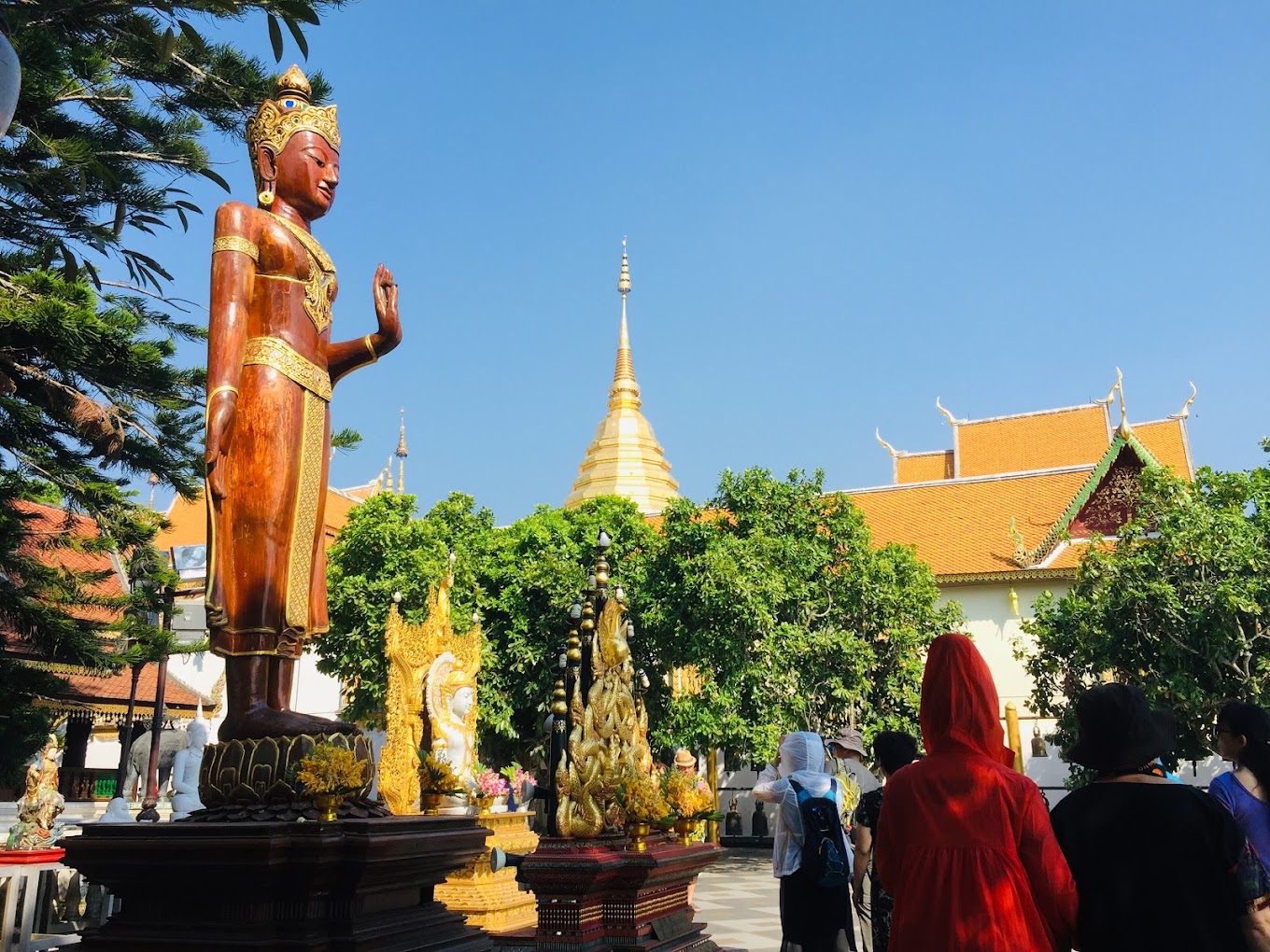 Chiang Mai and Northern Thailand Cycling Tour 9 Days
